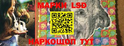 прущие грибы Тулун