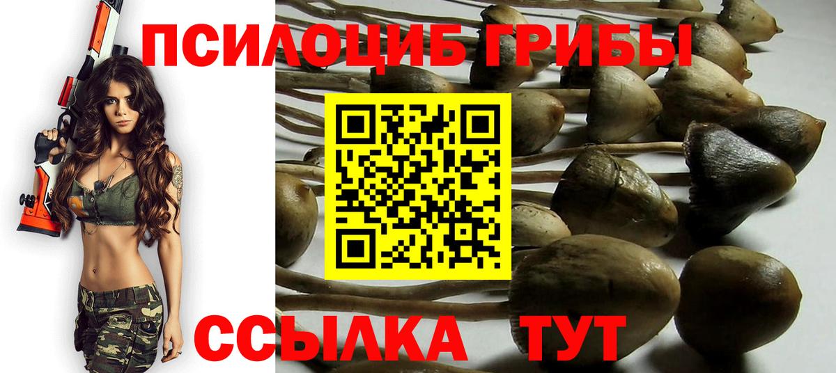 Галлюциногенные грибы прущие грибы  Вход с VPN  Кемерово 